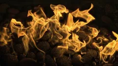 Fireplace Cleaning Service Mill City, Dallas
