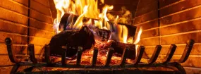 Fireplace Damper Services Mill City, Dallas
