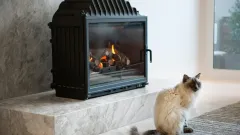 Wood Burning Fireplace Repair Mill City, Dallas