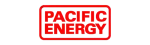 Pacific Energy Napoleon Fireplace Repair in Dallas