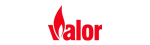 Valor Napoleon Fireplace Repair in Dallas